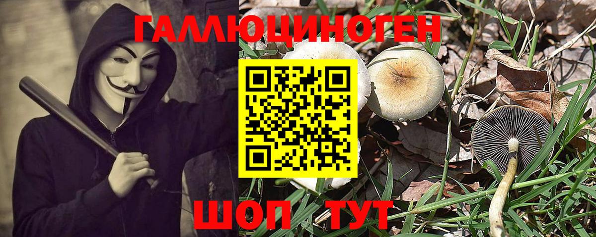 Псилоцибиновые грибы мицелий  Псилоцибиновые грибы GOLDEN TEACHER  Вход с VPN  Первоуральск 