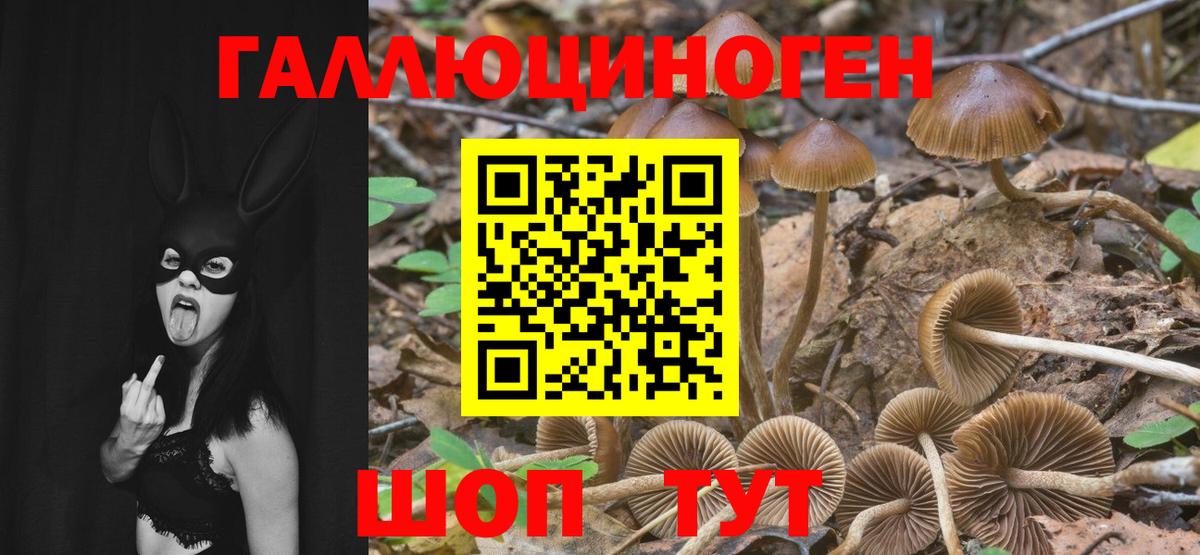 Галлюциногенные грибы прущие грибы Первоуральск